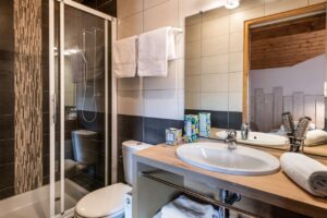 Bathroom with shower and toilet in chalet Snow Valley located in le Bettaix - Chalets Lacuzon