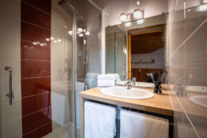 Bathroom with shower cabin and washbasin in chalet Snow Paradise