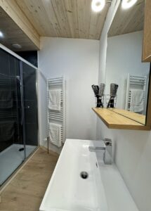 Bathroom with shower in chalet Snow Star located in le Bettaix - Chalets Lacuzon