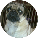 Profilbild von „Vera R.“